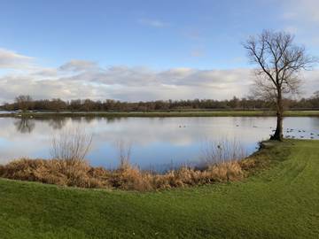 Chalet voor 4 Personen in Veluwe, Gelderland, Afbeelding 3