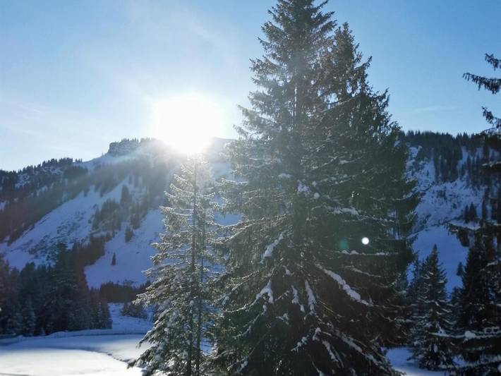 Ferienwohnung für 3 Personen, mit Balkon in Bolsterlang - 3