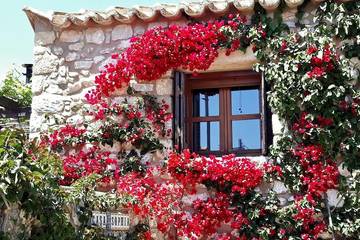 Cottage for 4 People in Messenian Gulf, Peloponnese region, Photo 4