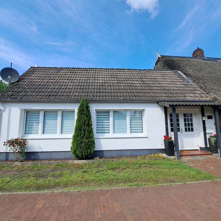 Ferienhaus für 8 Personen, mit Garten, mit Haustier am Dümmer See (Niedersachsen) - 3