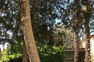 Maison D’hôte pour 2 Personnes dans Cambieure, Région de Limoux, Photo 4