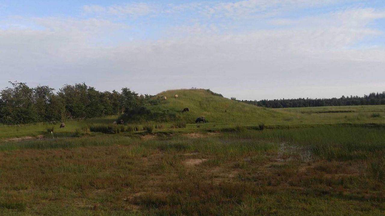 Ferienhaus für 6 Personen (125 m²) in Ansager in Ansager, Varde