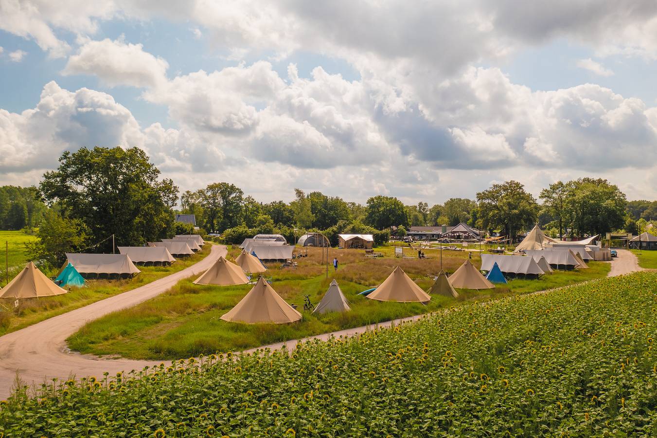Vakantiepark Mölke — Pop-up glamping: Buurvrouws' Belltentje | 2-4 pers. in Sallandse Heuvelrug