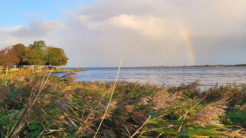 Ferienhaus für 13 Personen, mit Sauna und Garten sowie Whirlpool, mit Haustier in Himmerland - 4