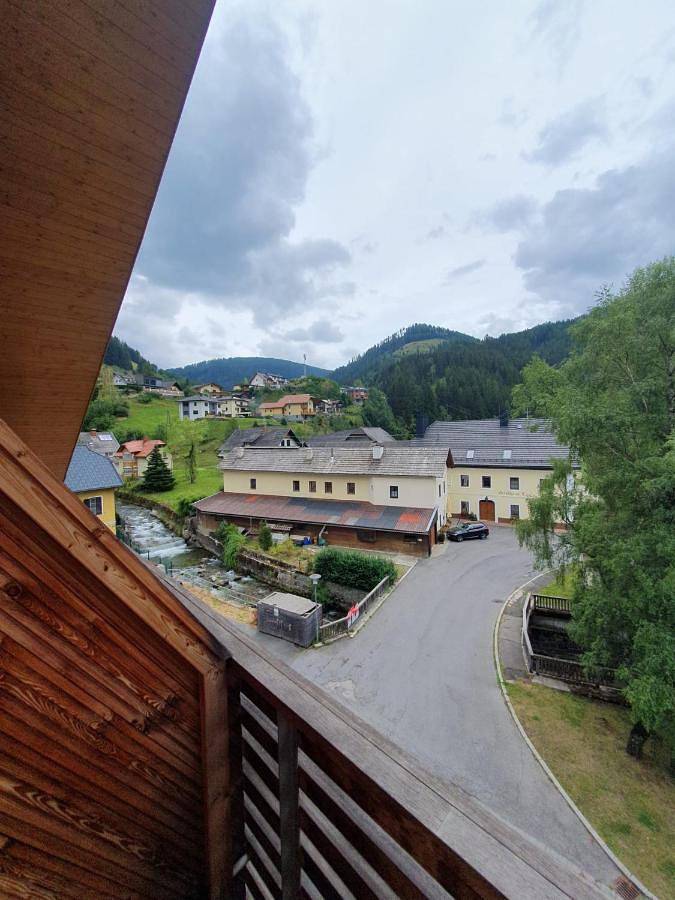 Ferienwohnung für 5 Personen, mit Balkon und Ausblick in Ebene Reichenau