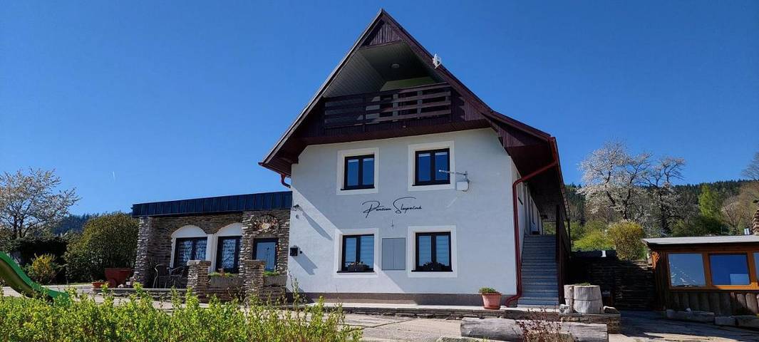 Ferienhaus für 8 Personen, mit Seeblick und Garten sowie Pool und Ausblick in Lipno