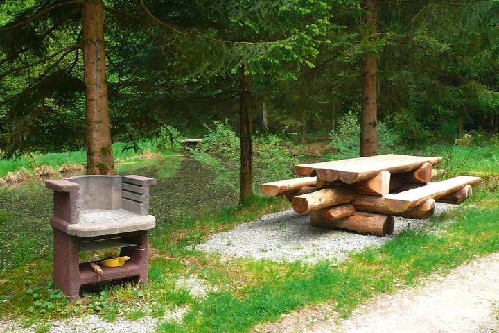Gîte pour 7 personnes, avec jardin, animaux acceptés en Moselle - 4