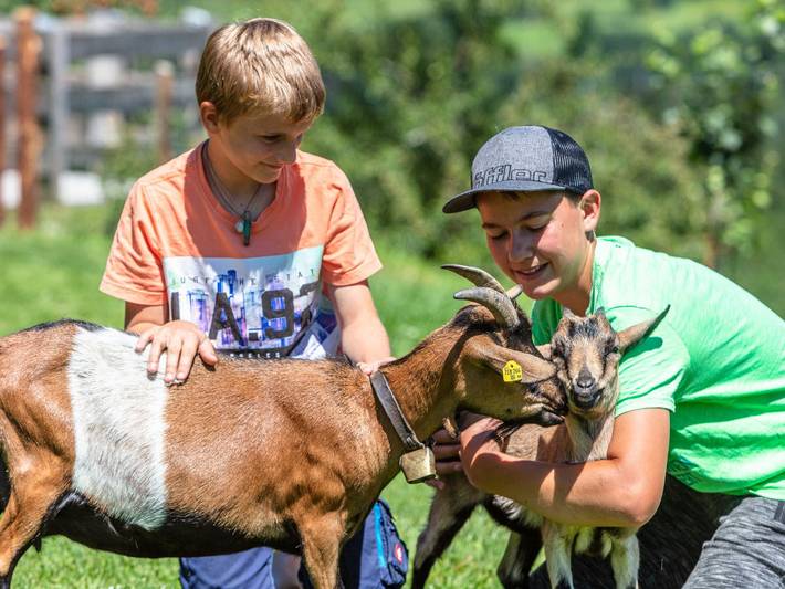 Bauernhaus für 2 Personen, mit Garten und Sauna sowie Ausblick, mit Haustier in Fieberbrunn - 3