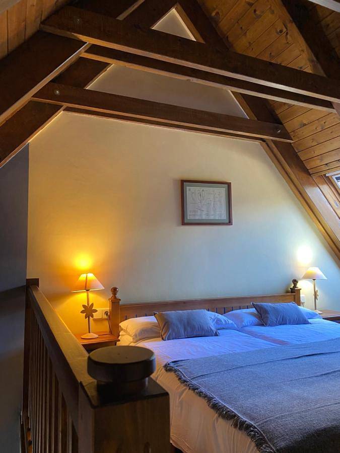 Aparthotel Es de Don Joan in Naut Aran, Baqueira Beret