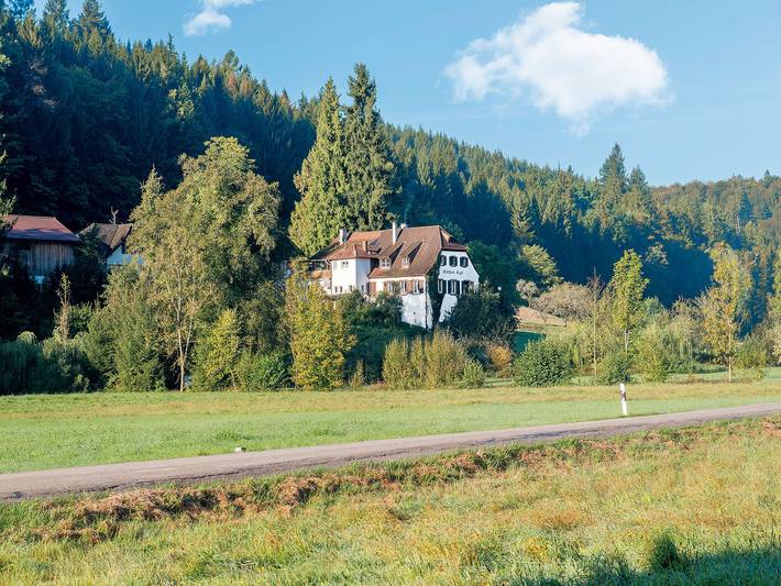 Ferienhaus, mit Terrasse in Emmendingen
