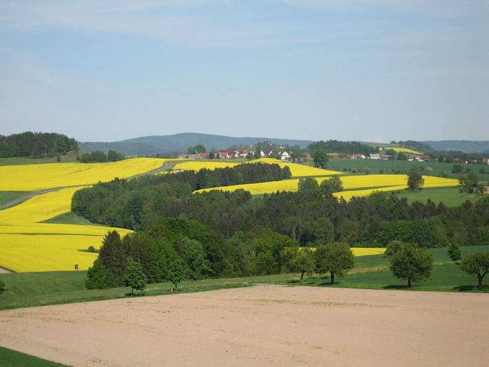 Ferienhaus für 2 Personen, mit Terrasse in Rathmannsdorf - 3