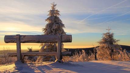 Ferienwohnung für 4 Personen, mit Garten, mit Haustier in Grünhainichen
