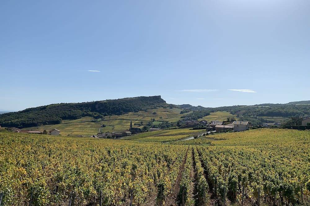 Ancienne maison vigneronne vue panoramique sur les roches de Solutré - Vergisson in Vergisson, Région de Mâcon