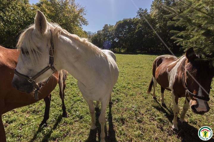 Gîte pour 8 personnes, avec jardin à Saint-Marcet - 2