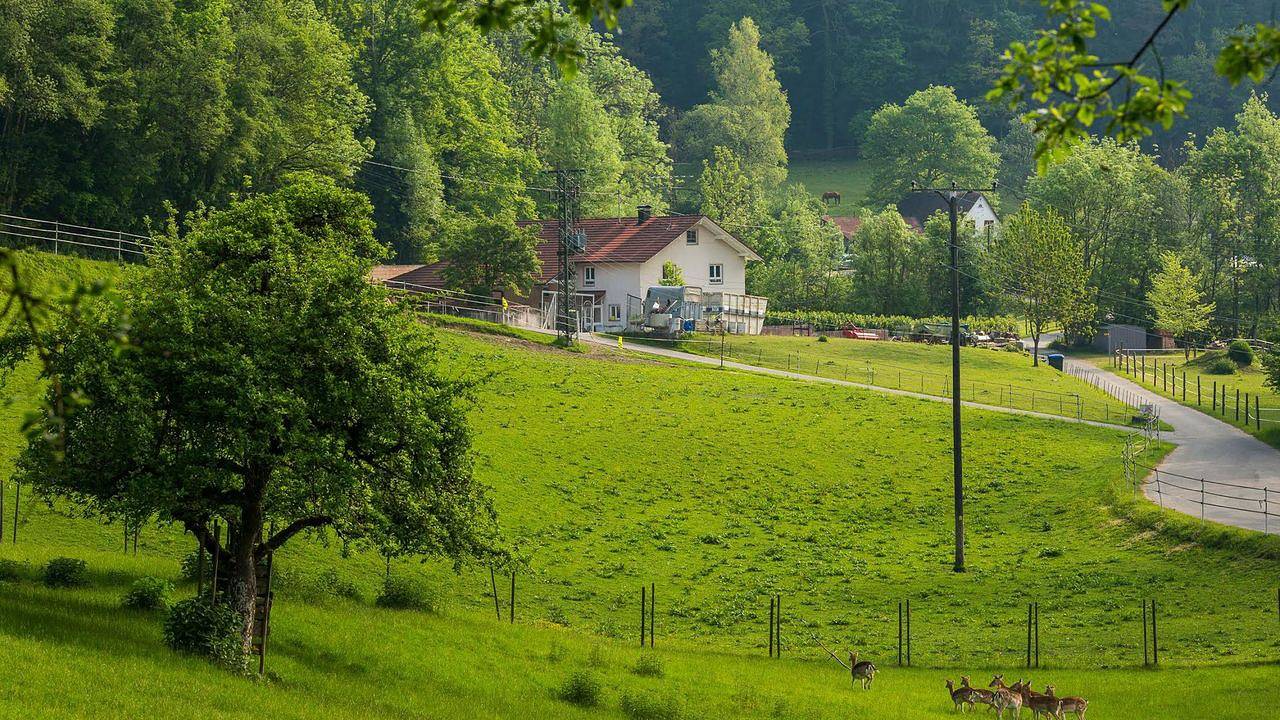 Ganze Ferienwohnung, Ferienwohnung für 4 Personen (25 m²) in Horgenzell in Horgenzell, Region Bodensee-Oberschwaben