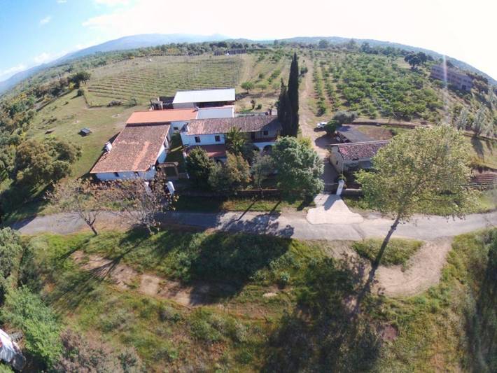Casa rural para 13 personas, con jardín y vistas en La Vera - 3