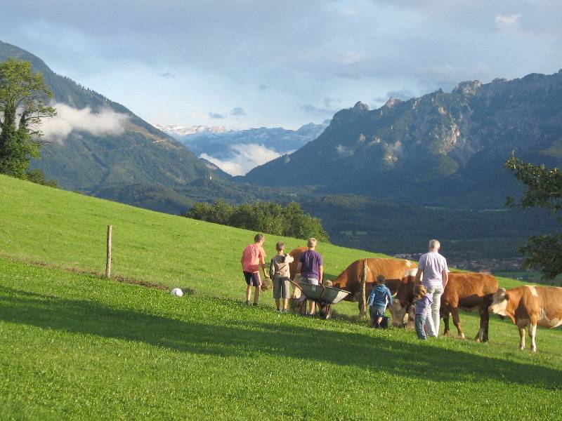 Ganze Ferienwohnung, Kochhof - Gästehaus unten 45 qm, Wohnküche, 2 Schlafzimmer, Terrasse mit traumhafter Aussicht in Piding, Bayerische Alpen