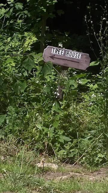 Glamping for 5 Guests in Kentucky, Picture 1