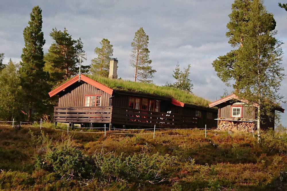 Trehytte til 8 Personer i Rennebu kommune, Sør-Trøndelag