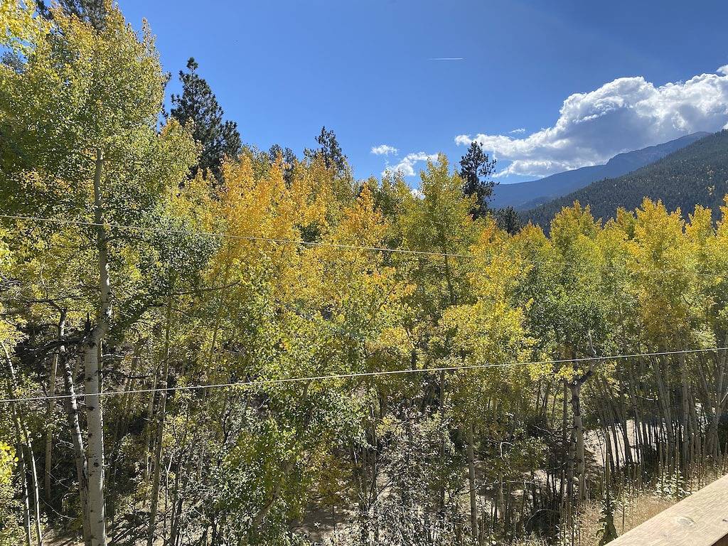 Small Town Charm -Stunning Mtn Views - Sauna- Ac - Pike Forest Paradise in Grant (CO), Park County