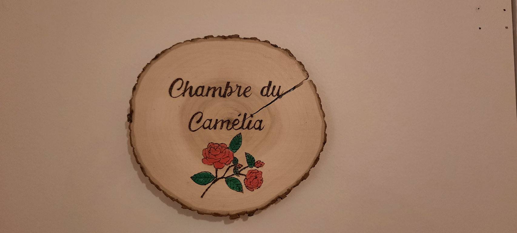 Chambres d'hôtes "La Cerisaie" - Chambre "Le Camélia" in Lyon, Rhône