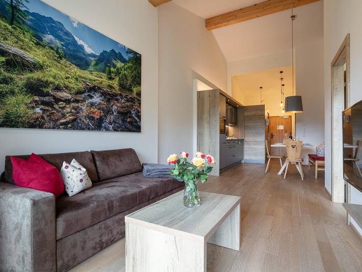 Ganze Wohnung, Wellness-Wohnung mit Süd-West-Balkon in Haus, Schladming-Dachstein
