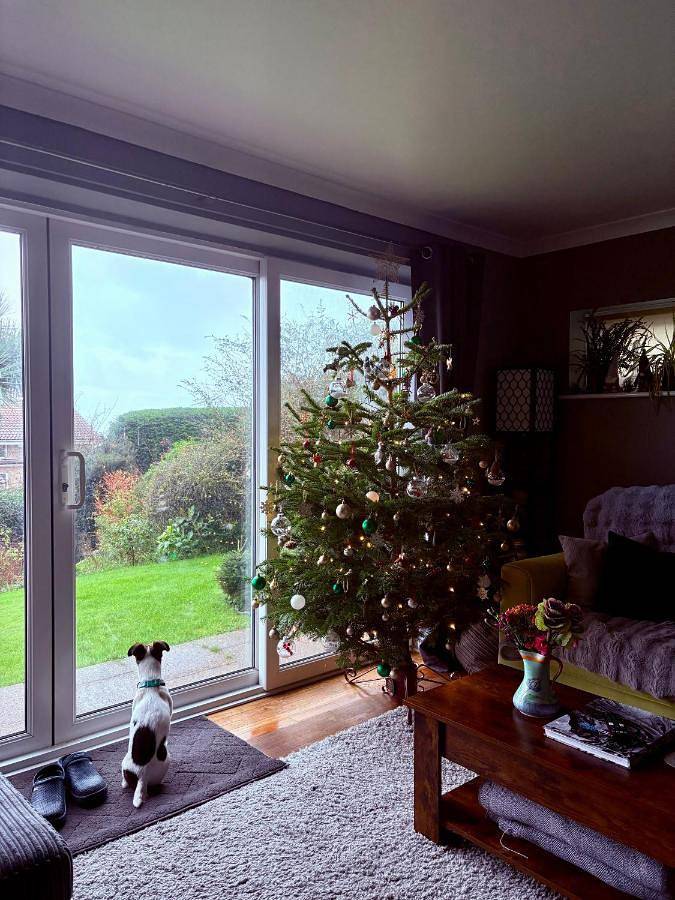 Three-Bedroom House in Charmouth, Dorset