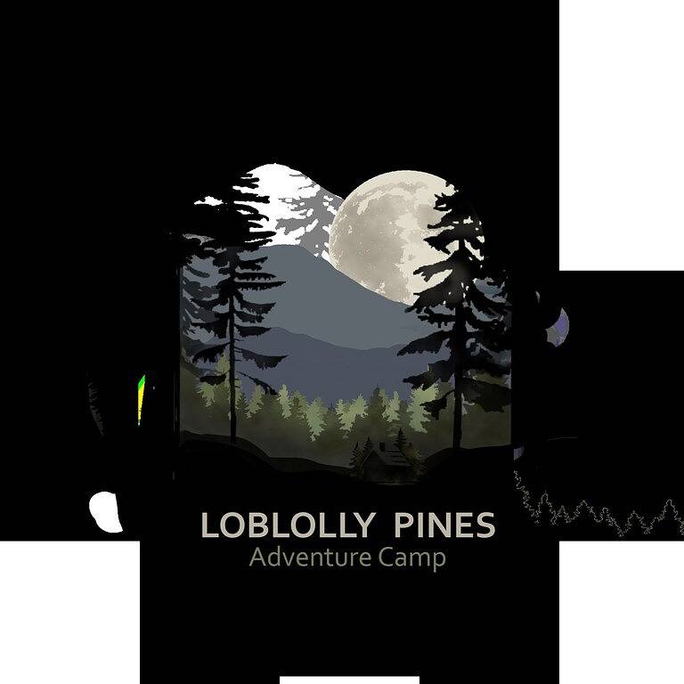 Adventure Cabin 2 with King Bed and Private Hot Tub in Eureka Springs, Carroll County (AR)