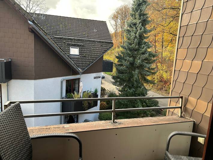 Ganze Ferienwohnung, Ferienwohnung am Wald in Bad Sachsa, Harzvorland