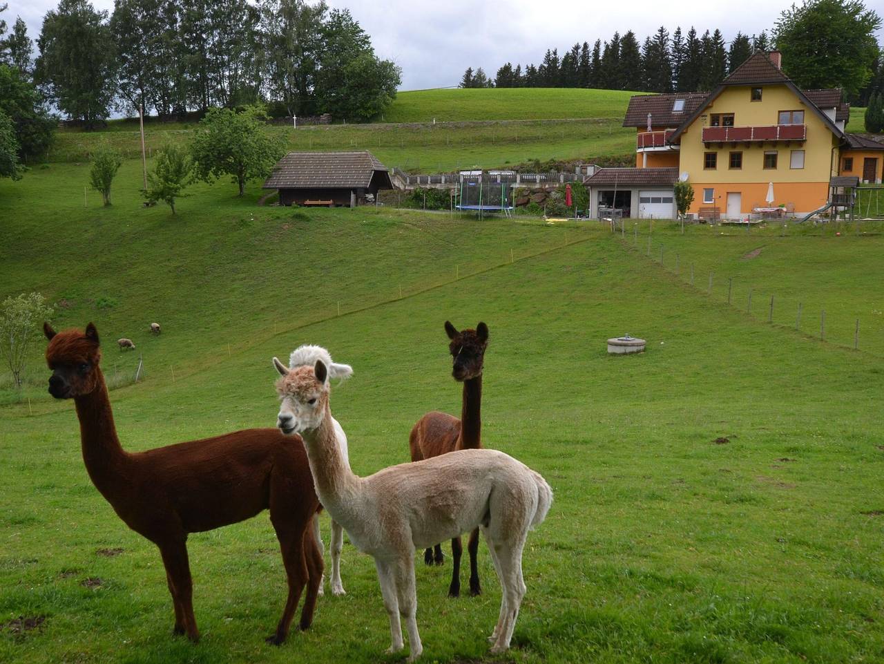 Ganze Ferienwohnung, Biohof Kroisleitner - Ferienwohnung (1-6 Nächte) in St. Jakob im Walde, Steirerland