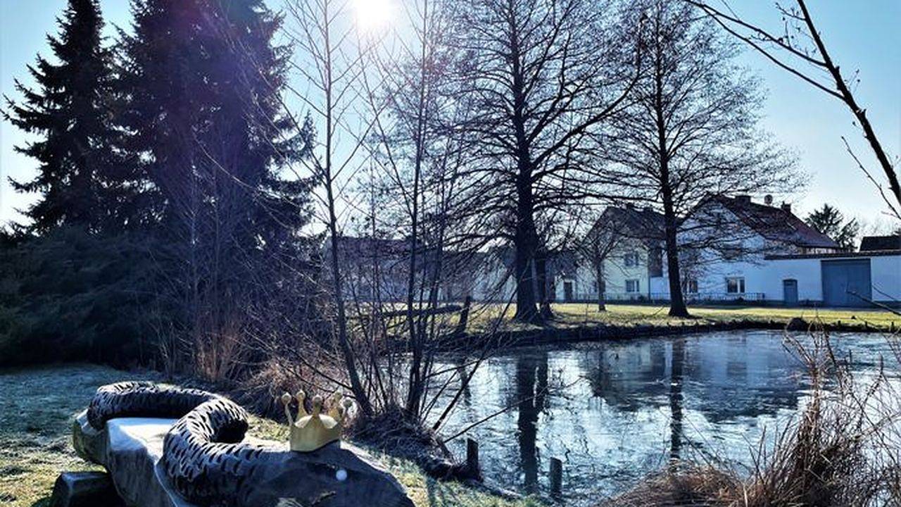 Ganze Ferienwohnung, Ferienwohnung für 4 Personen (72 m²) in Hoyerswerda in Hoyerswerda, Lausitzer Seenland