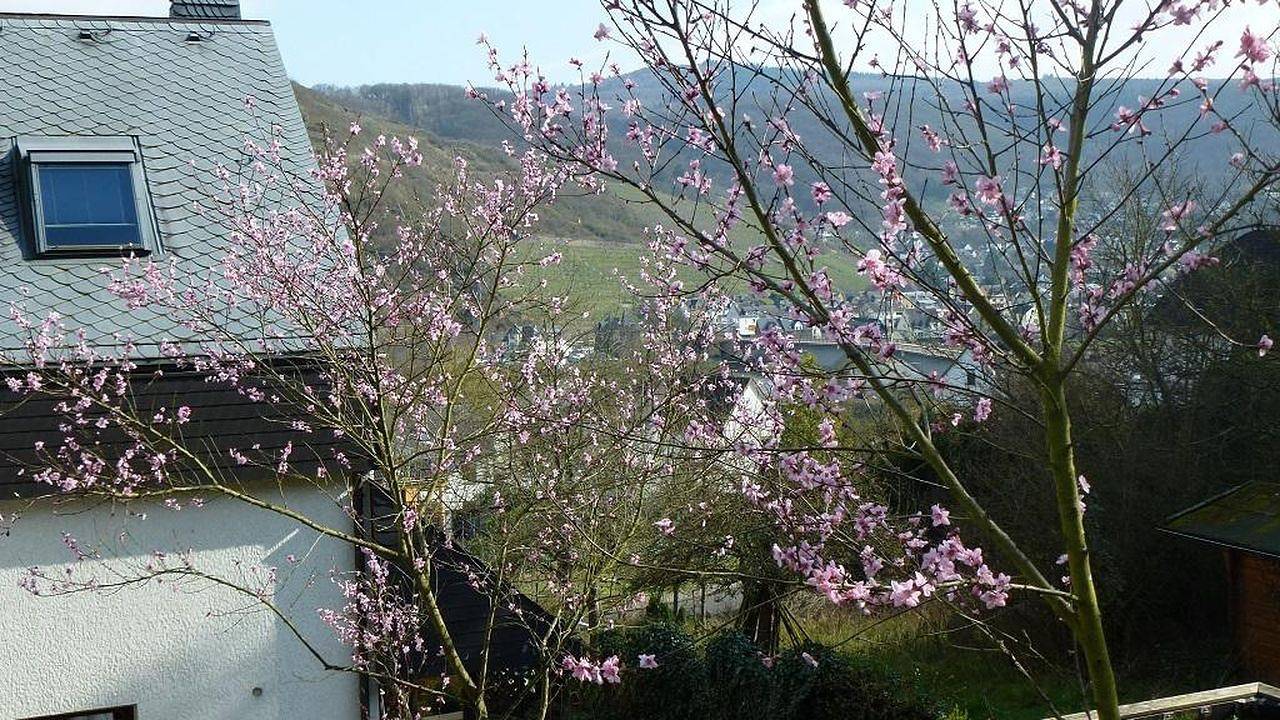 Ganze Ferienwohnung, Ferienwohnung für 2 Personen (50 m²) in Treis-Karden in Burg Eltz, Treis-Karden