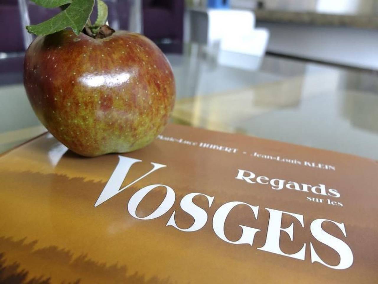 Villa "La Folie des Vosges" (Die Folie der Vogesen) in Fraize, Regionaler Naturpark Belchen der Vogesen