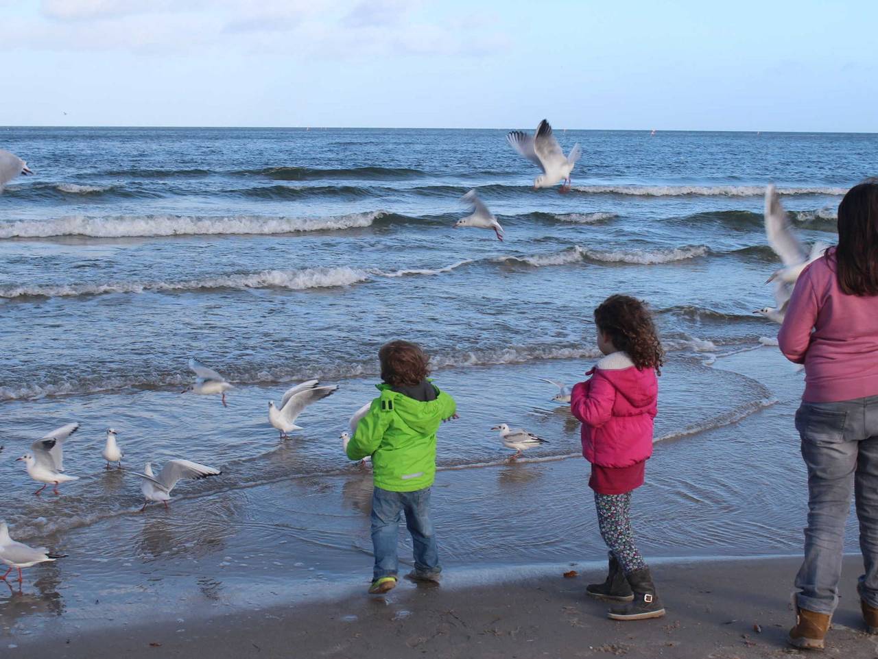 Ganze Ferienwohnung, Haus Feldmann - Whg. 4 Sumpfschwalbe Souterrain in Lohme, Nationalpark Jasmund