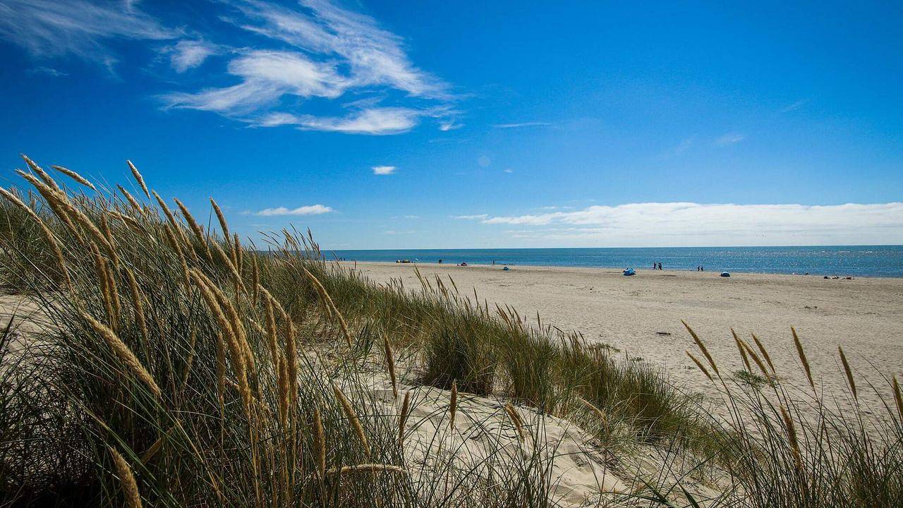 Ferienhaus für 8 Personen (139 m²) in Blåvand in Blavand, Varde