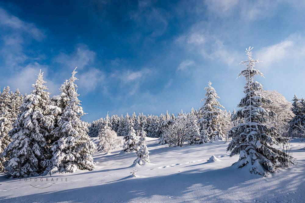 Apartamento vacacional entero, Ferienhaus Dresselbach - Wohnung 03  "Riesenbühlblick" in Schluchsee für 2 Personen in Lago Schluch, Suedlicher Schwarzwald
