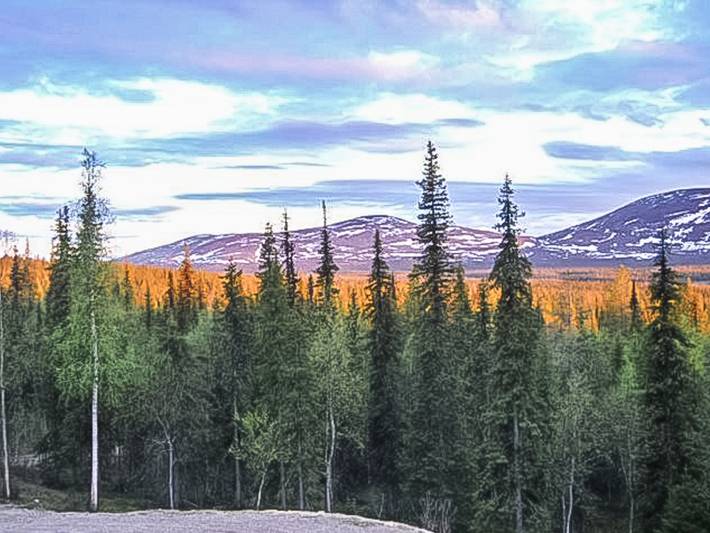 Pallaksen valkkorinne in Laponia
