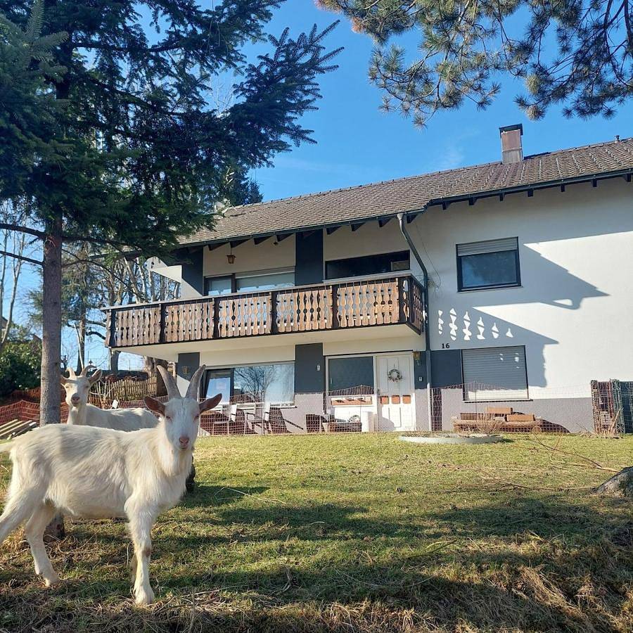 Ganze Wohnung, Two-Bedroom Apartment in Albbruck, Südschwarzwald