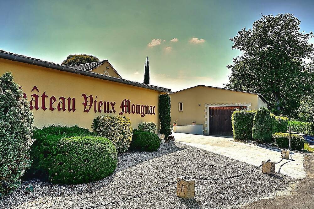 Château Vieux Mougnac - Maison de vacances proche Saint-Emilion in Petit-Palais-et-Cornemps, Région de Libourne