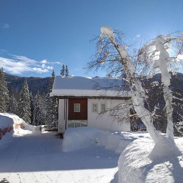 Hôtel pour 2 personnes, avec vue et jardin à Selva di Cadore - 4
