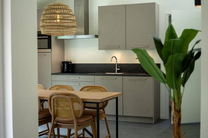 Villa für 6 Personen, mit Terrasse und Sauna sowie Garten in Breskens - 4