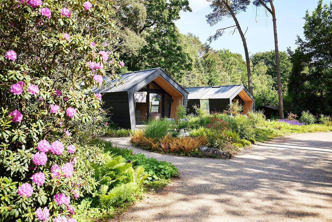 Kampinastaete — Diamond Suite in Oisterwijk, Noord-Brabant