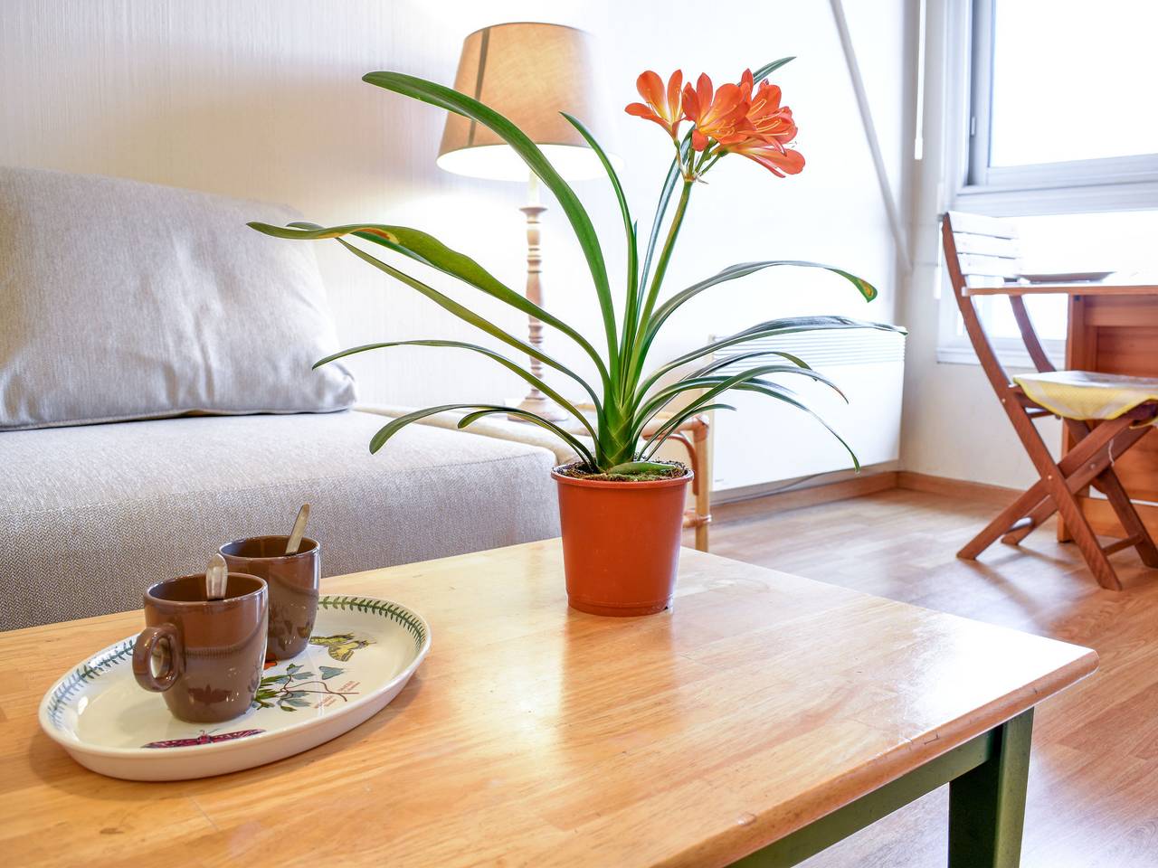 Ganze Wohnung, Le Polo in Deauville, Lisieux und Umgebung