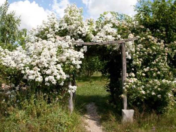 Ferienwohnung für 2 Personen, mit Garten, kinderfreundlich in Schwerin - 3