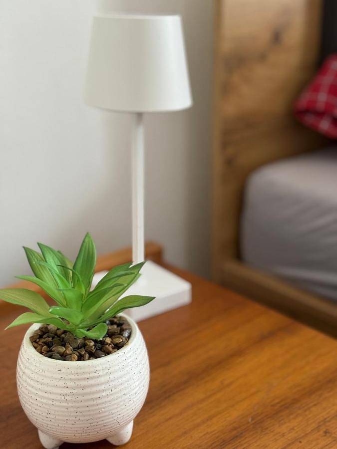 Gîte pour 4 personnes, avec jardin, animaux acceptés dans Szentgotthard - 2