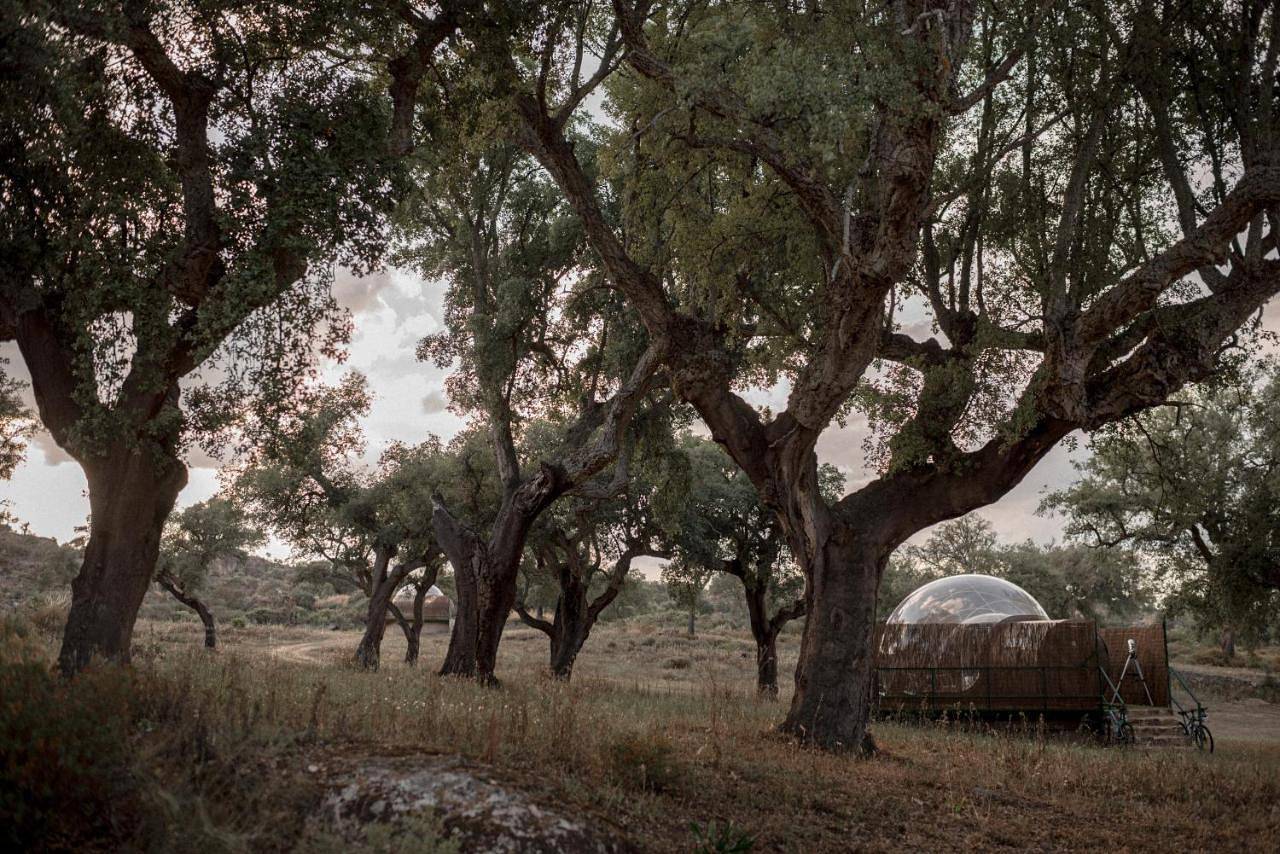 Finca El Cortiñal in Valencia de Alcántara, Provincia de Cáceres