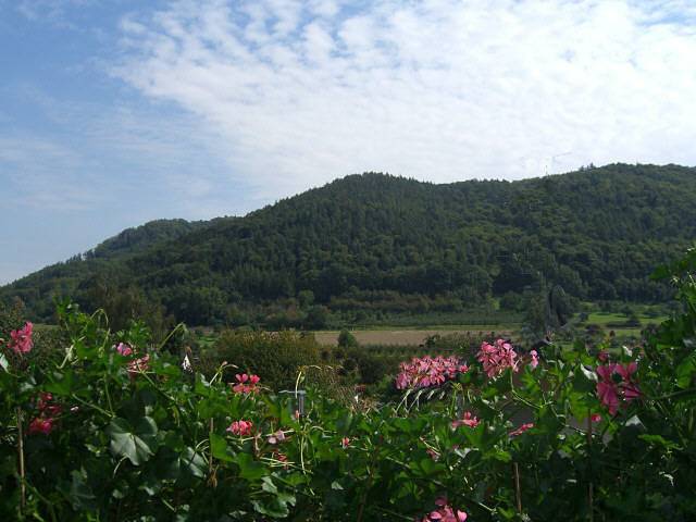 Ganze Ferienwohnung, Ferienwohnung Reiner Erben - 3-Zimmer-Fewo, Dg, 86 m² in Radolfzell am Bodensee, Landkreis Konstanz
