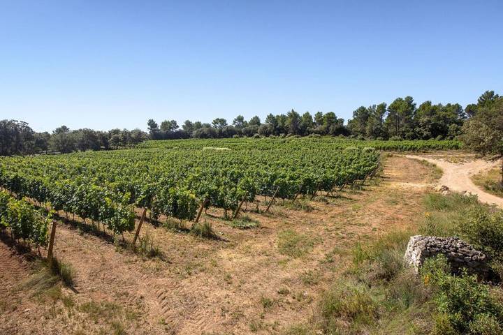 Chambre d’hôte pour 2 personnes, avec jardin ainsi que vue et piscine dans le Var - 2