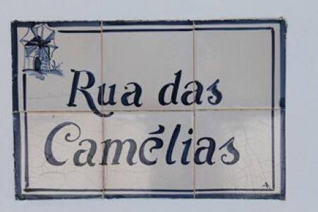 Location de vacances pour 6 personnes, avec vue et terrasse à Odeceixe - 3