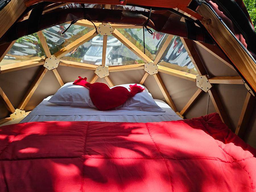 Flower Camping Les Micocouliers - Einzigartig 2 personen - Sternenblase in Graveson, Arles und Umgebung